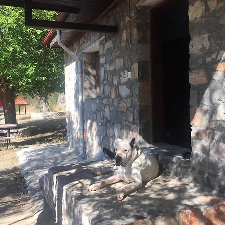 Chalet Bidon Stonehouses Gokbel