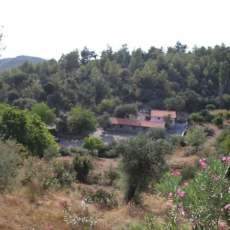 Bidon Stonehouses Chalet *
